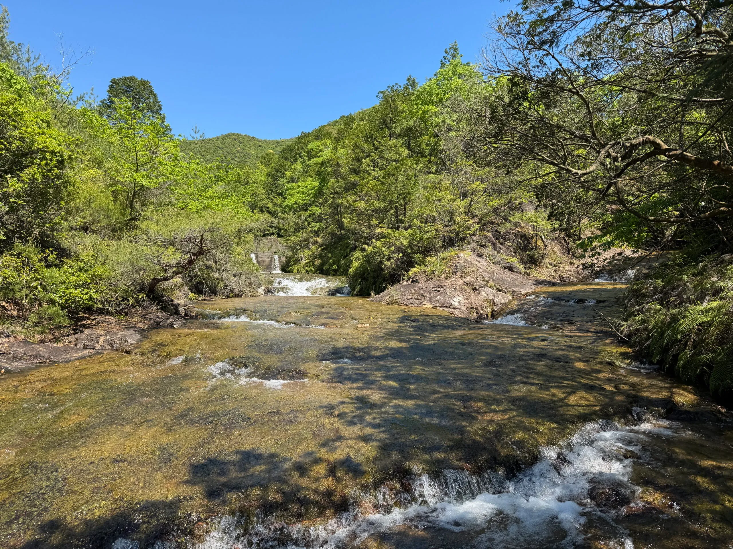 ジムニーで巡るオフロードの風景